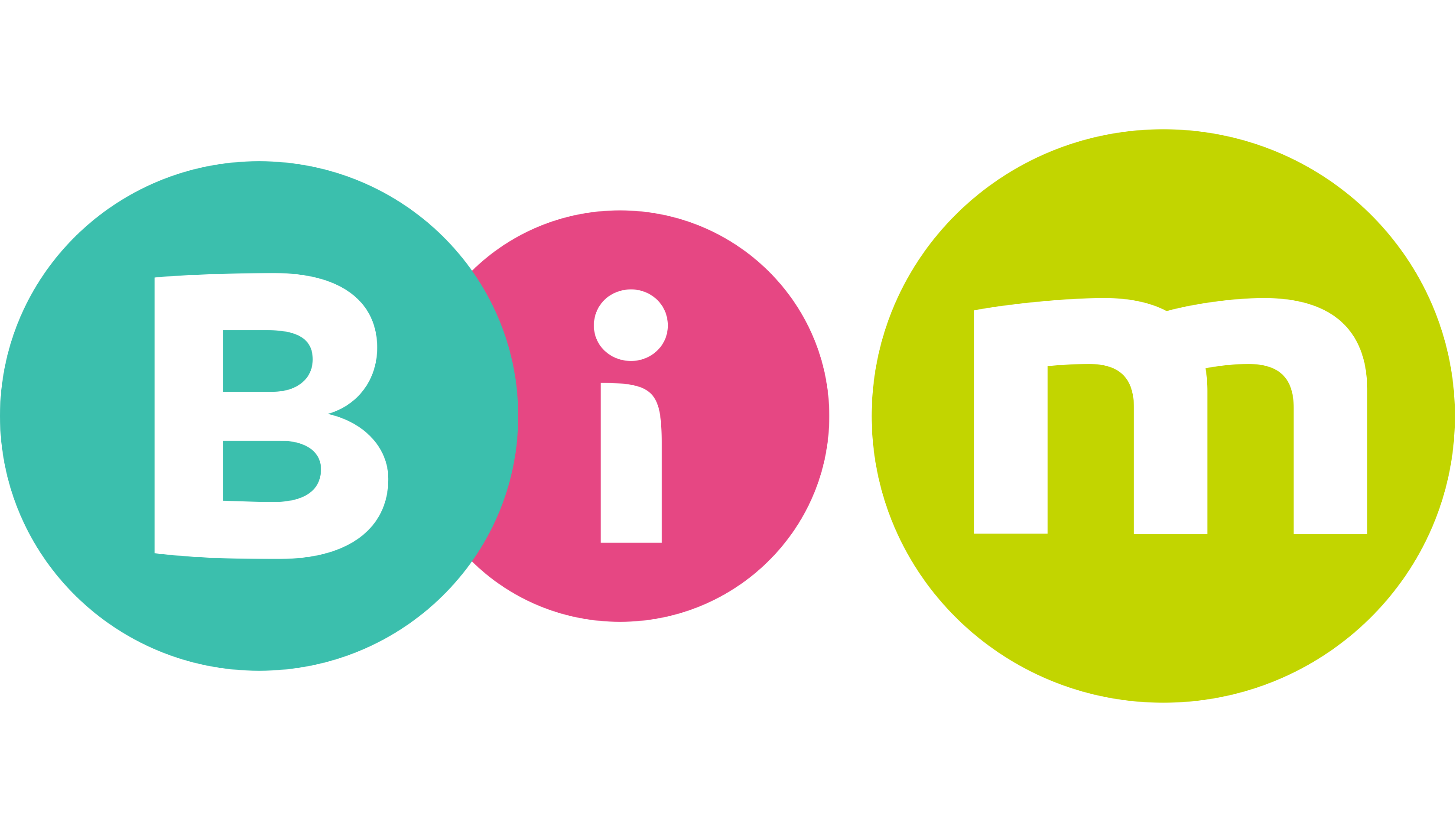 BIM